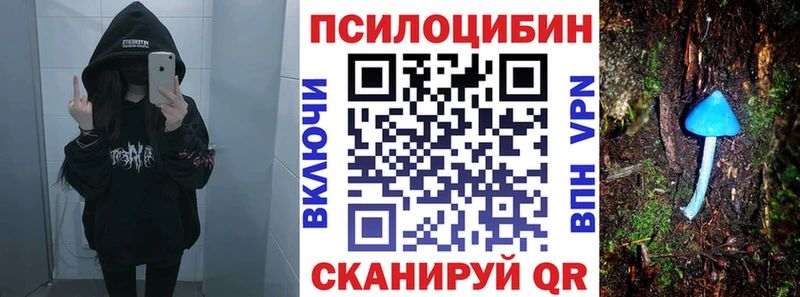 Галлюциногенные грибы Psilocybine cubensis  где купить   Елец 