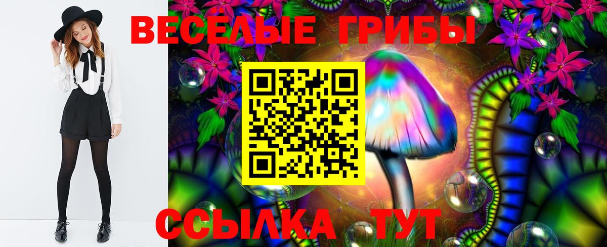 Галлюциногенные грибы GOLDEN TEACHER Елец